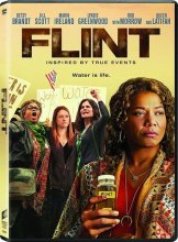Cover art for Flint