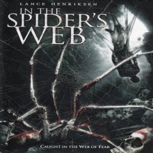 Cover art for In the Spider's Web