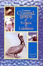 Cover art for Common Coastal Birds of Florida & the Caribbean