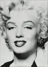 Cover art for Marilyn Monroe and the Camera
