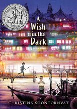 Cover art for A Wish in the Dark