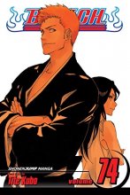 Cover art for Bleach, Vol. 74 (74)
