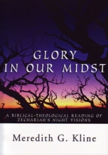 Cover art for Glory in Our Midst: A Biblical-Theological Reading of Zechariah's Night Visions