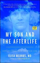Cover art for My Son and the Afterlife: Conversations from the Other Side