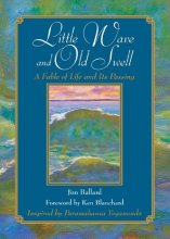 Cover art for Little Wave and Old Swell: A Fable of Life and Its Passing