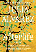 Cover art for Afterlife