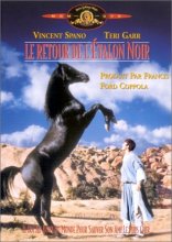 Cover art for Black Stallion Returns