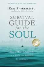 Cover art for Survival Guide for the Soul: How to Flourish Spiritually in a World that Pressures Us to Achieve