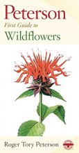 Cover art for Peterson First Guide to Wildflowers of Northeastern and North-central North America