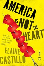 Cover art for America Is Not the Heart: A Novel