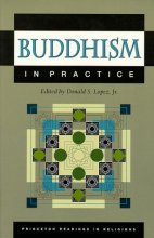 Cover art for Buddhism in Practice