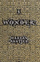 Cover art for I Wonder