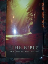 Cover art for THE BIBLE