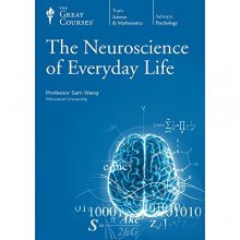 Cover art for The Neuroscience of Everyday Life