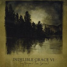 Cover art for Joy Beyond The Sorrow: Indelible Grace VI
