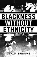 Cover art for Blackness Without Ethnicity: Constructing Race in Brazil
