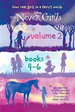 Cover art for The Never Girls Volume 2: Books 4-6 (Disney: The Never Girls)