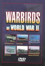 Cover art for Warbirds of World War II