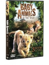 Cover art for Baby Animals in the Wild (3 Hour Documentary)