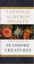 Cover art for National Audubon Society Field Guide to North American Seashore Creatures (National Audubon Society Field Guides)