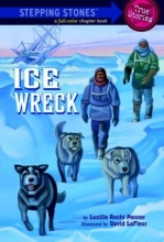 Cover art for Ice Wreck (A Stepping Stone Book)