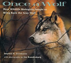 Cover art for Once A Wolf: How Wildlife Biologists Fought to Bring Back the Gray Wolf