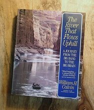 Cover art for The River that Flows Uphill: A Journey From the Big Bang to the Big Brain