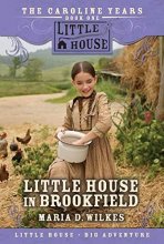 Cover art for Little House in Brookfield (The Caroline Years, Bk 1)