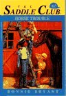 Cover art for Horse Trouble (Saddle Club)