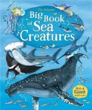 Cover art for The Usborne Big Book of Sea Creatures
