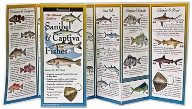 Cover art for Sanibel & Captiva Fishes: Folding Guide (Foldingguides)