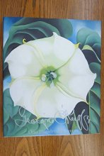 Cover art for Georgia O'Keeffe: One Hundred Flowers