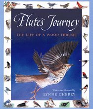 Cover art for Flute's Journey: The Life of a Wood Thrush