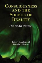 Cover art for Consciousness and the Source of Reality