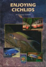 Cover art for Enjoying Cichlids