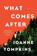 Cover art for What Comes After: A Novel