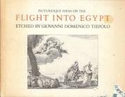Cover art for Picturesque Ideas on the Flight into Egypt (English and Italian Edition)