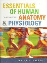 Cover art for Essentials of Human Anatomy and Physiology