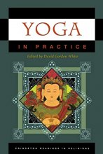 Cover art for Yoga in Practice (Princeton Readings in Religions, 34)