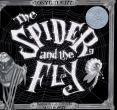 Cover art for The Spider and the Fly