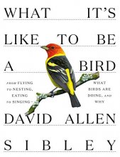 Cover art for What It's Like to Be a Bird: From Flying to Nesting, Eating to Singing--What Birds Are Doing, and Why (Sibley Guides)