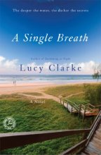 Cover art for A Single Breath: A Novel
