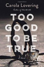 Cover art for Too Good to Be True: A Novel