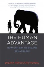 Cover art for The Human Advantage: How Our Brains Became Remarkable (The MIT Press)