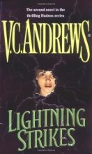 Cover art for Lightning Strikes (Hudson Family, Book 2)