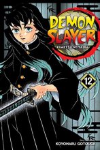 Cover art for Demon Slayer: Kimetsu no Yaiba, Vol. 12 (12)