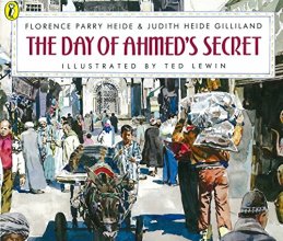 Cover art for Day of Ahmed's Secret