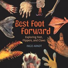 Cover art for Best Foot Forward: Exploring Feet, Flippers, and Claws
