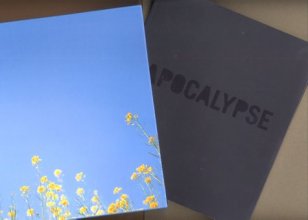 Cover art for Apocalypse: Beauty and Horror in Contemporary Art