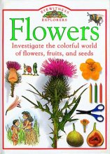 Cover art for Flowers (Eyewitness Explorers)